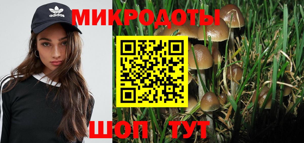 Саратов  Псилоцибиновые грибы MAGIC MUSHROOMS  Вход с VPN 